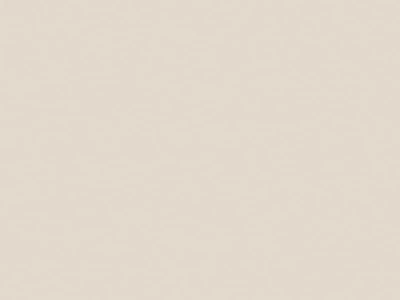 EGGER Eurodekor Dekorspanplatte P2