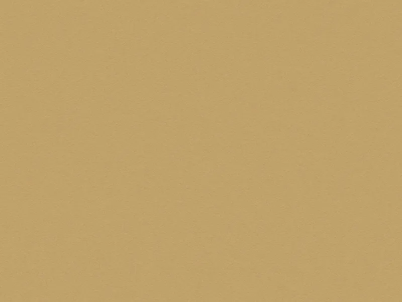 \\192.168.193.69\shop\Plattenwerkstoffe\Kanten und Umleimer\Kanten f&uuml;r Beschichtete Platten\Metall und Fantasiedekor\Pb_EGGER_Schichtstoffplatte_F527_ST20_Brushed_Metal_gold.JPG