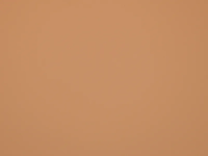 FENIX Schichtstoffplatte Thin