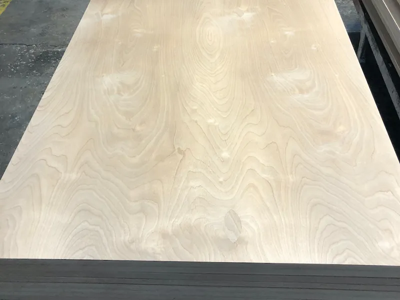 Multiplexplatte Birke l&auml;ngs, B-S1,d0