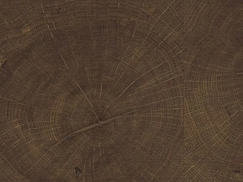 HARO Parkettmanufaktur Carr&eacute;