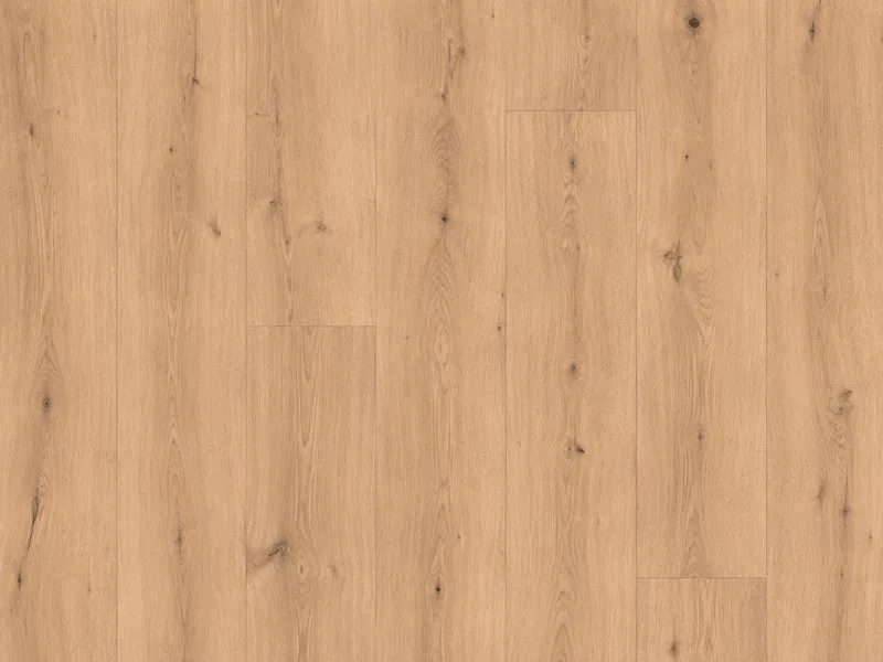\\192.168.193.69\shop\Fu&szlig;boden\Laminatboden\Meister\pb_MEISTER-Laminatboden-LL-150_Feldeiche-hell-06843,-5G-Dry.jpg