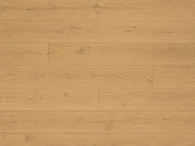 \\192.168.193.69\shop\Fu&szlig;boden\Vinylboden\Ziro\pb_ZIRO-Vinylboden-Basic-Rigid-4.0-Natureiche-Alessio.jpg
