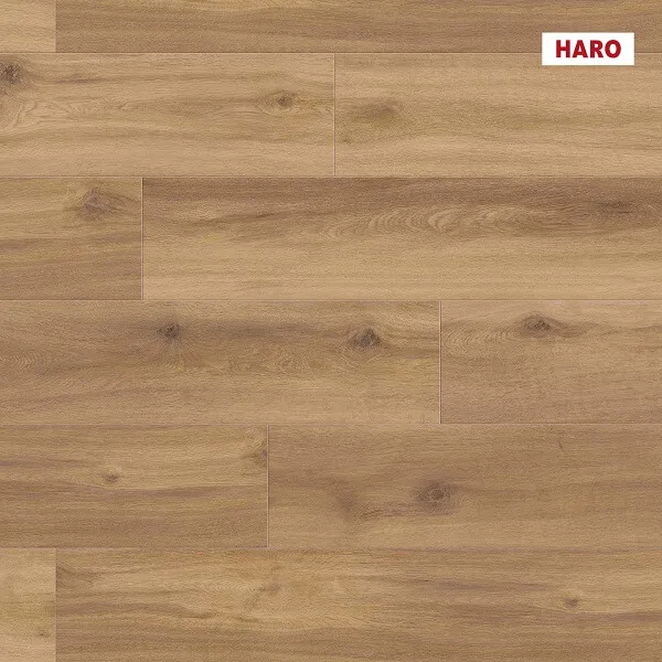 \\192.168.193.69\shop\Fu&szlig;boden\Parkettboden\Haro\Aktion_2026\549053_disano_by_haro_landhausdiele_4v_eiche_provence_natur_authentic_00.jpg