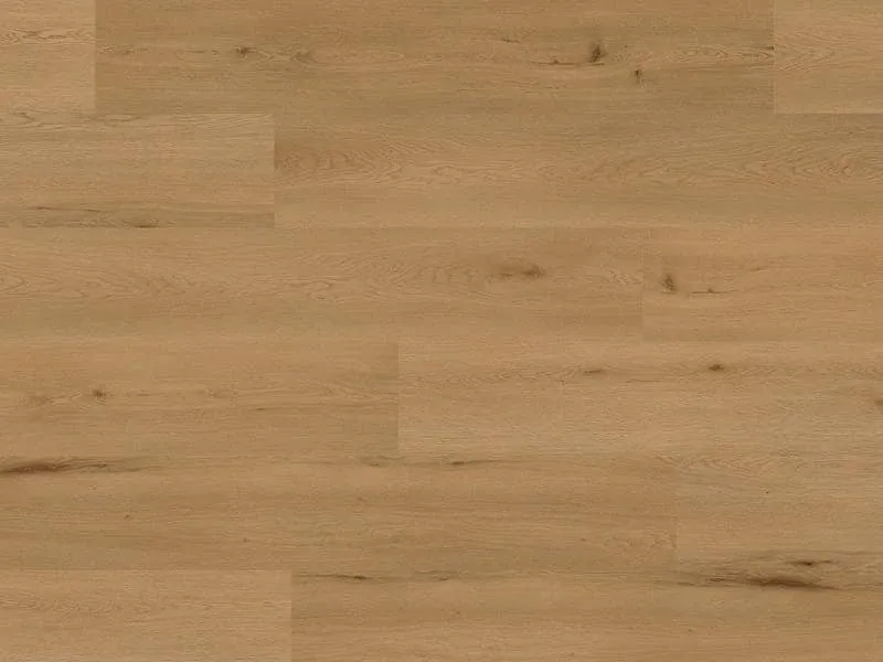 ter H&uuml;rne Vinyl Classic Edition Solid