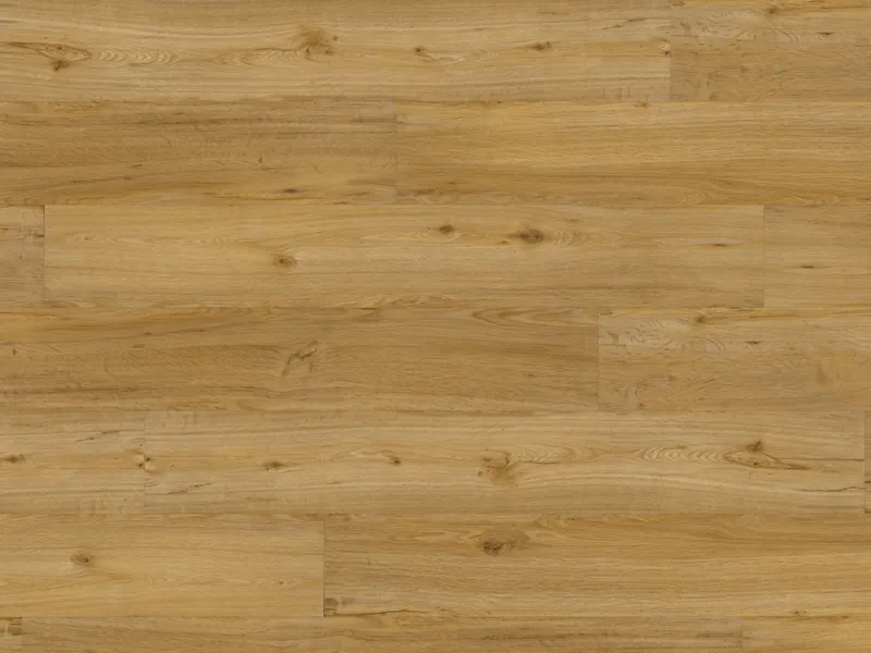 ter H&uuml;rne Rigid Design-Vinylboden