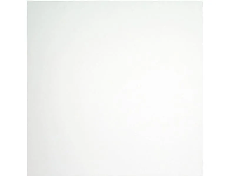 Ringo Wohnungseingangst&uuml;r, gef&auml;lzt