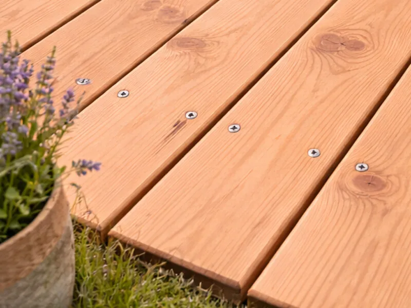 Terrassendiele Kanadische Douglasie