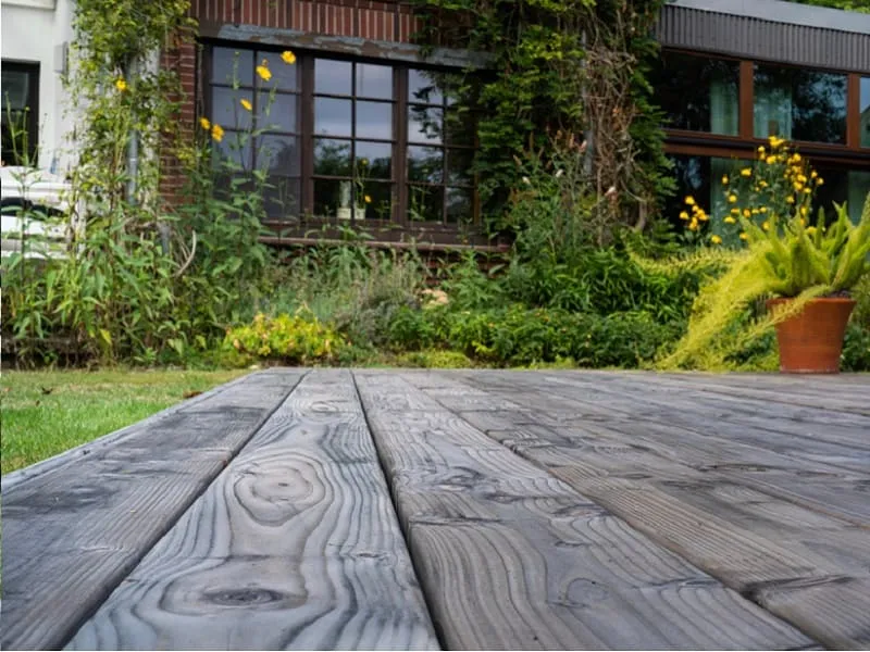 Terrassendiele Europ&auml;ische Douglasie