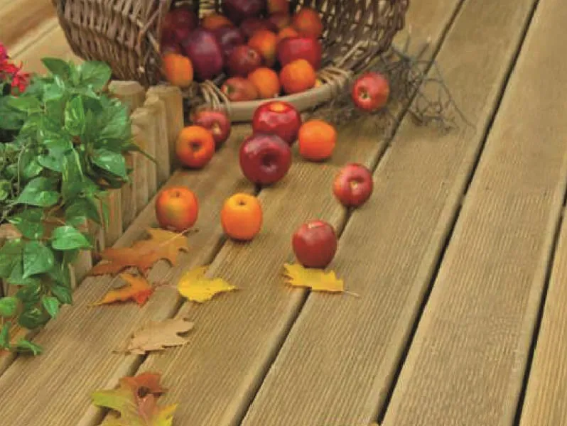 Terrassendiele Kiefer kdi