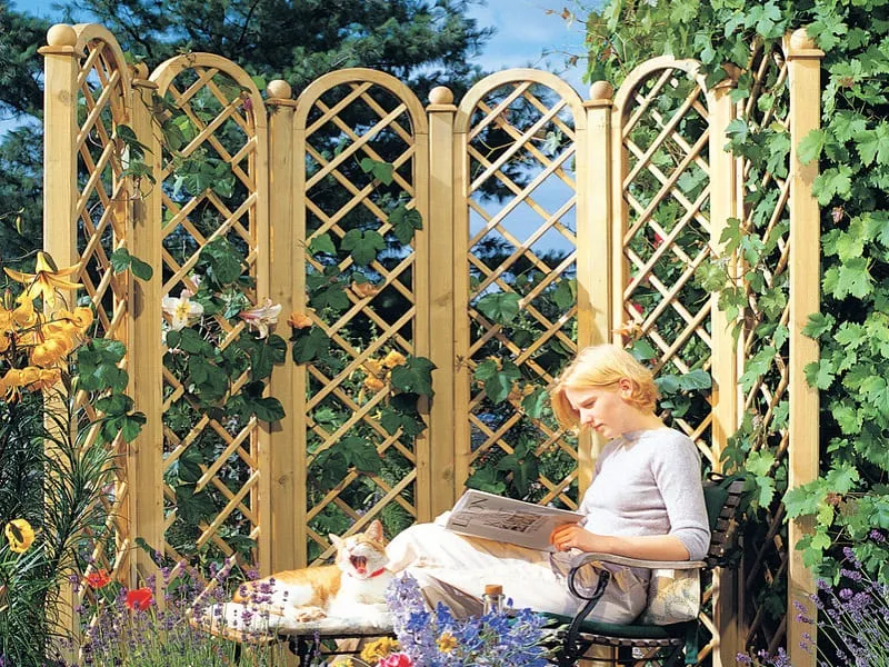 Br&uuml;gmann Rankgitter CLEMATIS