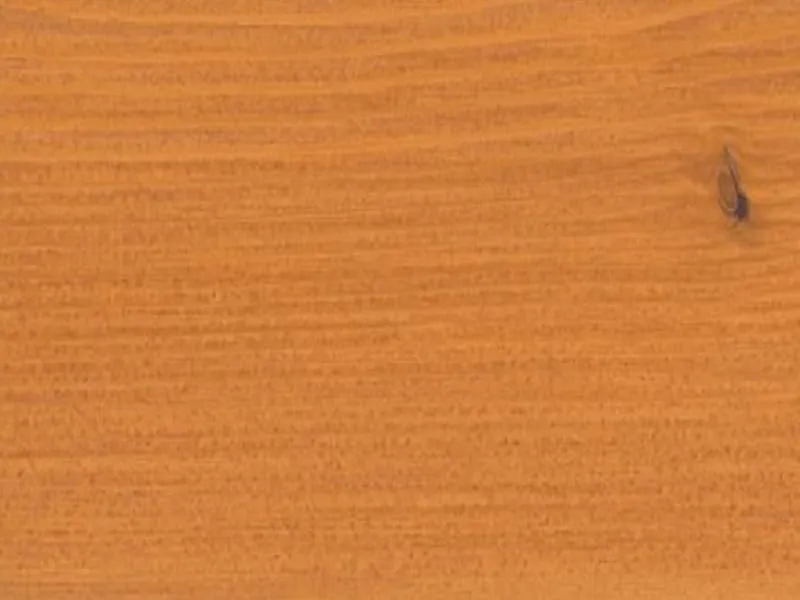 OSMO Terrassen-&Ouml;l L&auml;rche