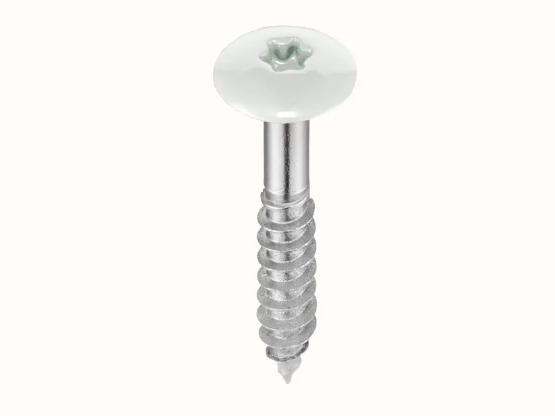 \\192.168.193.69\shop\Bauholz und Hobelware\Fassadenzubeh&ouml;r\pb_Fassadenschraube-.wei&szlig;.jpg