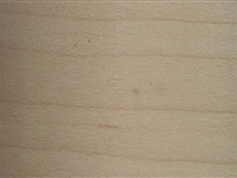 \\192.168.193.69\shop\Plattenwerkstoffe\Kanten und Umleimer\Furnierte Platten\Ahorn\Pb_Polykarp_Echtholzkante_Ahorn.jpg