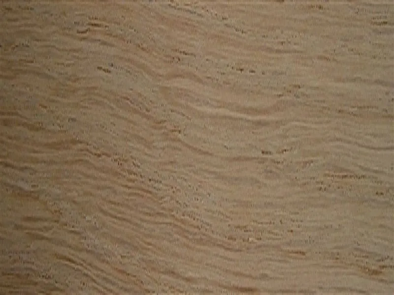 \\192.168.193.69\Shop\Plattenwerkstoffe\Kanten und Umleimer\Furnierte Platten\Eiche\Pb_Polykarp_Eiche.JPG